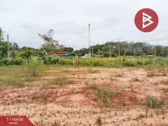 ขายที่ดิน เนื้อที่ 95.5 ตร.วา นายายอาม จันทบุรี-202507151639321752572372346.jpg