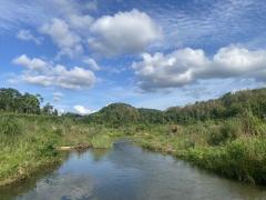 โปรดีกลางปี68พร้อมแล้ว ขายที่ดินติดลำธารน้ำใสไหลริน ชุ่มฉ่ำตลอดปี สวยวิวล้าน 800000บาท 3-0-35ไร่ อำเภอสันติสุข น่าน