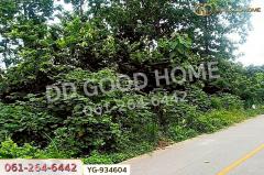 YG-934604 ที่ดินสามเงา 4 ไร่ 239.7 ตร.ว. ตาก ใกล้เขื่อนภูมิพล-202507161157281752641848131.jpg