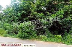 YG-934604 ที่ดินสามเงา 4 ไร่ 239.7 ตร.ว. ตาก ใกล้เขื่อนภูมิพล-202507161157281752641848726.jpg