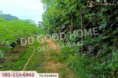 YG-934604 ที่ดินสามเงา 4 ไร่ 239.7 ตร.ว. ตาก ใกล้เขื่อนภูมิพล-202507161157301752641850455.jpg