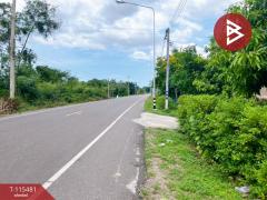 ขายบ้านเดี่ยวพร้อมที่ดิน เนื้อที่ 3 ไร่ 31.6 ตร.วา ดงขวาง อุทัยธานี-202507161249421752644982781.jpg