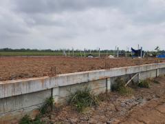ขายที่ดินถมแล้ว 100 ตร.ว. พร้อมกำแพงล้อมรอบ คลอง 4 คลองหลวง ปทุมธานี ที่ดินสวย ขนาดกำลังดี พร้อมพัฒนา