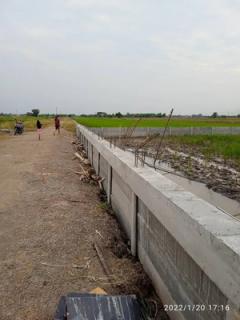 ขายที่ดินถมแล้ว 100 ตร.ว. พร้อมกำแพงล้อมรอบ คลอง 4 คลองหลวง ปทุมธานี ที่ดินสวย ขนาดกำลังดี พร้อมพัฒนา-202507161316271752646587008.jpg