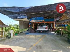 ขายบ้านเดี่ยวติดถนน-เนื้อที่-1-งาน-11.6-