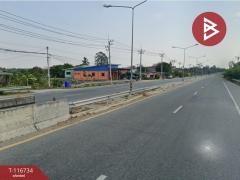 ขายบ้านเดี่ยวติดถนน เนื้อที่ 1 งาน 11.6 ตร.วา บ้านบึง ชลบุรี-202507161422091752650529883.jpg