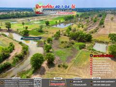 ขายที่ดินเปล่าติดถนน ทำเลทอง  อำเภอนางรอง จังหวัดบุรีรัมย์-202507161446331752651993487.jpg