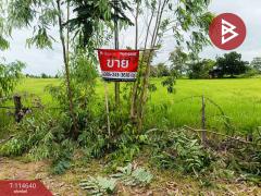 ขายที่ดิน เนื้อที่ 15 ไร่ 40.9 ตร.วา ยางตลาด กาฬสินธุ์-202507161618091752657489016.jpg