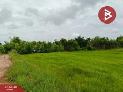ขายที่ดิน เนื้อที่ 15 ไร่ 40.9 ตร.วา ยางตลาด กาฬสินธุ์-202507161618091752657489768.jpg