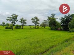 ขายที่ดิน เนื้อที่ 15 ไร่ 40.9 ตร.วา ยางตลาด กาฬสินธุ์-202507161618111752657491838.jpg