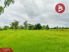 ขายที่ดิน เนื้อที่ 15 ไร่ 40.9 ตร.วา ยางตลาด กาฬสินธุ์-202507161618121752657492404.jpg
