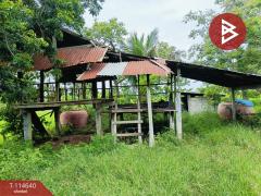 ขายที่ดิน เนื้อที่ 15 ไร่ 40.9 ตร.วา ยางตลาด กาฬสินธุ์-202507161618131752657493509.jpg