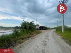 ขายที่ดิน เนื้อที่ 5 ไร่ หนองจอก กรุงเทพมหานคร-202507161639381752658778145.jpg