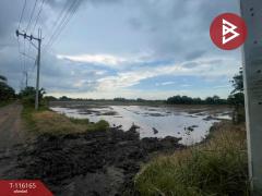 ขายที่ดิน เนื้อที่ 5 ไร่ หนองจอก กรุงเทพมหานคร-202507161639391752658779624.jpg