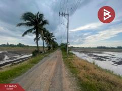 ขายที่ดิน เนื้อที่ 5 ไร่ หนองจอก กรุงเทพมหานคร-202507161639401752658780182.jpg
