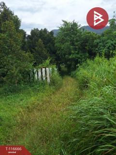 ขายที่ดิน เนื้อที่ 58 ตร.วา ทุ่งสง นครศรีธรรมราช-202507162018451752671925617.jpg