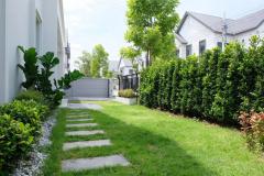 ขายบ้านเดี่ยวสภาพสวยมาก 58 ตรว. 230 ตรม. Centro บางนา กม.7 อ.บางพลี สมุทรปราการ-202507162121081752675668922.jpg