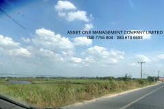 ขายที่ดินติดถนนอยุธยา อ่างทอง 098 7755 808-202507170925541752719154118.jpg