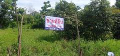 ขายที่ดินเปล่า เชียงใหม่,Land for sale, place for sale-202507171015411752722141997.jpg