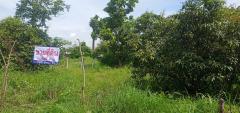 ขายที่ดินเปล่า เชียงใหม่,Land for sale, place for sale-202507171015421752722142574.jpg