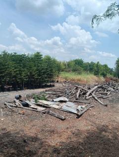 ขายที่ดิน พร้อมสวน และสิ่งปลูกสร้าง คลองใหญ่ องครักษ์ นครนายก 2 ไร่ 2 งาน 59 ตรว เหมาะสร้างบ้าน หรือ ทำการเกษตร