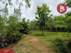 ขายที่ดิน เนื้อที่ 21 ไร่ 3 งาน 52 ตร.วา ยางตลาด กาฬสินธุ์-202507171535431752741343496.jpg