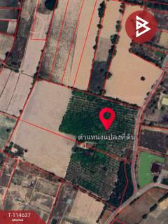 ขายที่ดิน เนื้อที่ 21 ไร่ 3 งาน 52 ตร.วา ยางตลาด กาฬสินธุ์-202507171535481752741348879.jpg