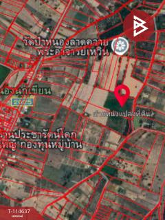 ขายที่ดิน เนื้อที่ 21 ไร่ 3 งาน 52 ตร.วา ยางตลาด กาฬสินธุ์-202507171535491752741349512.jpg