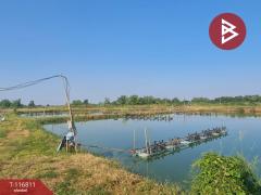 ขายที่ดิน เนื้อที่ 14 ไร่ 44 ตร.วา บ้านสร้าง ปราจีนบุรี-202507171629181752744558376.jpg