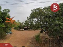 ขายที่ดิน เนื้อที่ 14 ไร่ 44 ตร.วา บ้านสร้าง ปราจีนบุรี-202507171629211752744561676.jpg