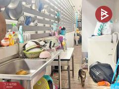 ขายบ้านเดี่ยว โครงการบ้านสุขสมบูรณ์ ในบาง1 บางใบไม้ สุราษฎร์ธานี-202507171720141752747614016.jpg