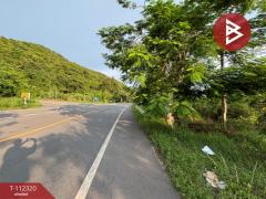 ขายที่ดิน เนื้อที่ 11 ไร่ 3 งาน 53 ตร.วา ท่าใหม่ จันทบุรี-202507171729151752748155197.jpg