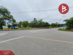 ขายที่ดิน เนื้อที่ 11 ไร่ 3 งาน 53 ตร.วา ท่าใหม่ จันทบุรี-202507171729161752748156643.jpg