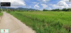 ขายที่ดิน ท่าสุด อำเภอเมืองเชียงราย-202507171908161752754096780.jpg