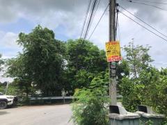 ที่ดินใกล้เทคนิคปทุมธานีราคาถูก-202507171953451752756825286.jpg