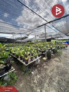 ขายที่ดิน เนื้อที่ 10 ไร่ 25.9 ตร.วา บางพลี สมุทรปราการ-202507180939051752806345642.jpg