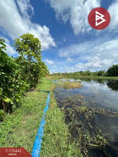 ขายที่ดิน เนื้อที่ 10 ไร่ 25.9 ตร.วา บางพลี สมุทรปราการ-202507180939071752806347291.jpg