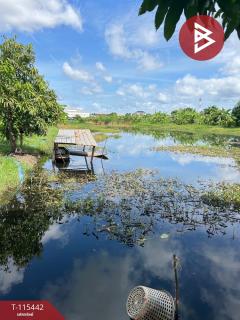 ขายที่ดิน เนื้อที่ 10 ไร่ 25.9 ตร.วา บางพลี สมุทรปราการ-202507180939071752806347832.jpg