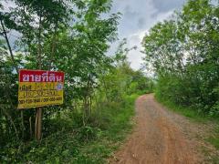 ขายที่ดินพร้อมไร่อ้อย 17-3-0 ไร่ บ.ทุ่งแค ต.เพ็กใหญ่ อ.พล จ.ขอนแก่น ใกล้โรงแรมมายเดียร์   ZE824