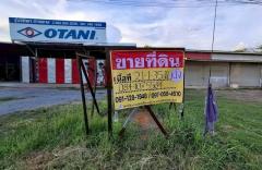 ขายด่วน ที่ดิน 21-1-35 ไร่  พร้อมผู้เช่า  ถ.มะลิวัลย์  โนนทัน หนองเรือ ขอนแก่น    ZE822