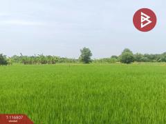 ขายที่ดิน-เนื้อที่-87-ตร.วา-พุทธมณฑล-น