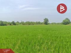 ขายที่ดิน เนื้อที่ 87 ตร.วา พุทธมณฑล นครปฐม-202507181507201752826040221.jpg