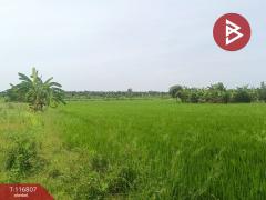 ขายที่ดิน เนื้อที่ 87 ตร.วา พุทธมณฑล นครปฐม-202507181507201752826040777.jpg