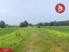 ขายที่ดิน เนื้อที่ 87 ตร.วา พุทธมณฑล นครปฐม-202507181507211752826041888.jpg