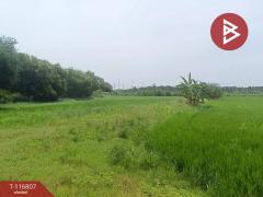 ขายที่ดิน เนื้อที่ 87 ตร.วา พุทธมณฑล นครปฐม-202507181507221752826042610.jpg