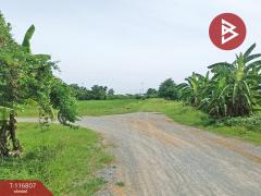 ขายที่ดิน เนื้อที่ 87 ตร.วา พุทธมณฑล นครปฐม-202507181507231752826043739.jpg