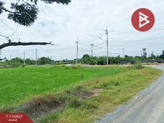 ขายที่ดิน เนื้อที่ 87 ตร.วา พุทธมณฑล นครปฐม-202507181507251752826045009.jpg
