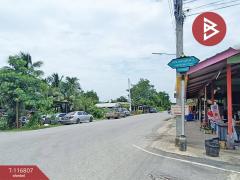 ขายที่ดิน เนื้อที่ 87 ตร.วา พุทธมณฑล นครปฐม-202507181507261752826046134.jpg
