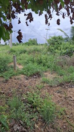 ขายที่ถมแล้ว ขายถูก ใกล้ถนนทางหลวง 3025 ( ท่าข้าม-สระสี่เหลี่ยม ) เนื้อที่  200  ตรว. ต.ท่าข้าม อ.พนัสนิคม จ.ชลบุรี