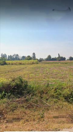 ขายที่ดินตำบลหนองระเวียงอำเภอเมืองนครราชสีมา  ขนาดที่ดิน7-2-30ไร่ติดถนนสาธารณะ -202507181533491752827629687.jpg